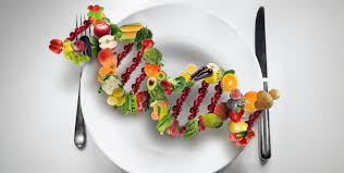 Decoding Your Diet: How DNA Shapes Your Nutrition Needs